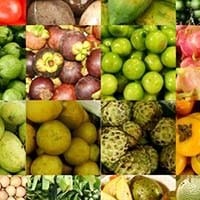 fruits_200px_opt